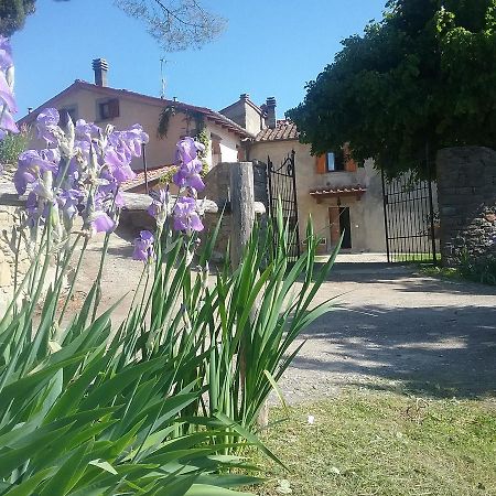 Casa Vacanze Podere Ugolini Ronta ภายนอก รูปภาพ