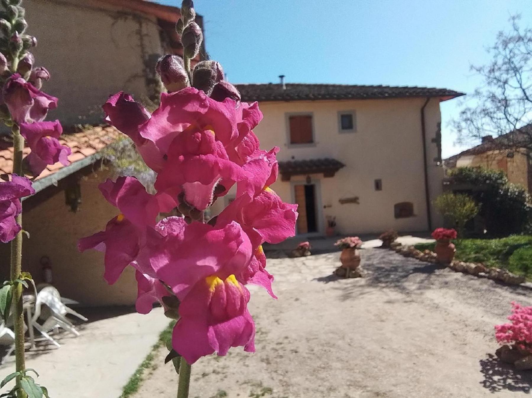 Casa Vacanze Podere Ugolini Ronta ภายนอก รูปภาพ