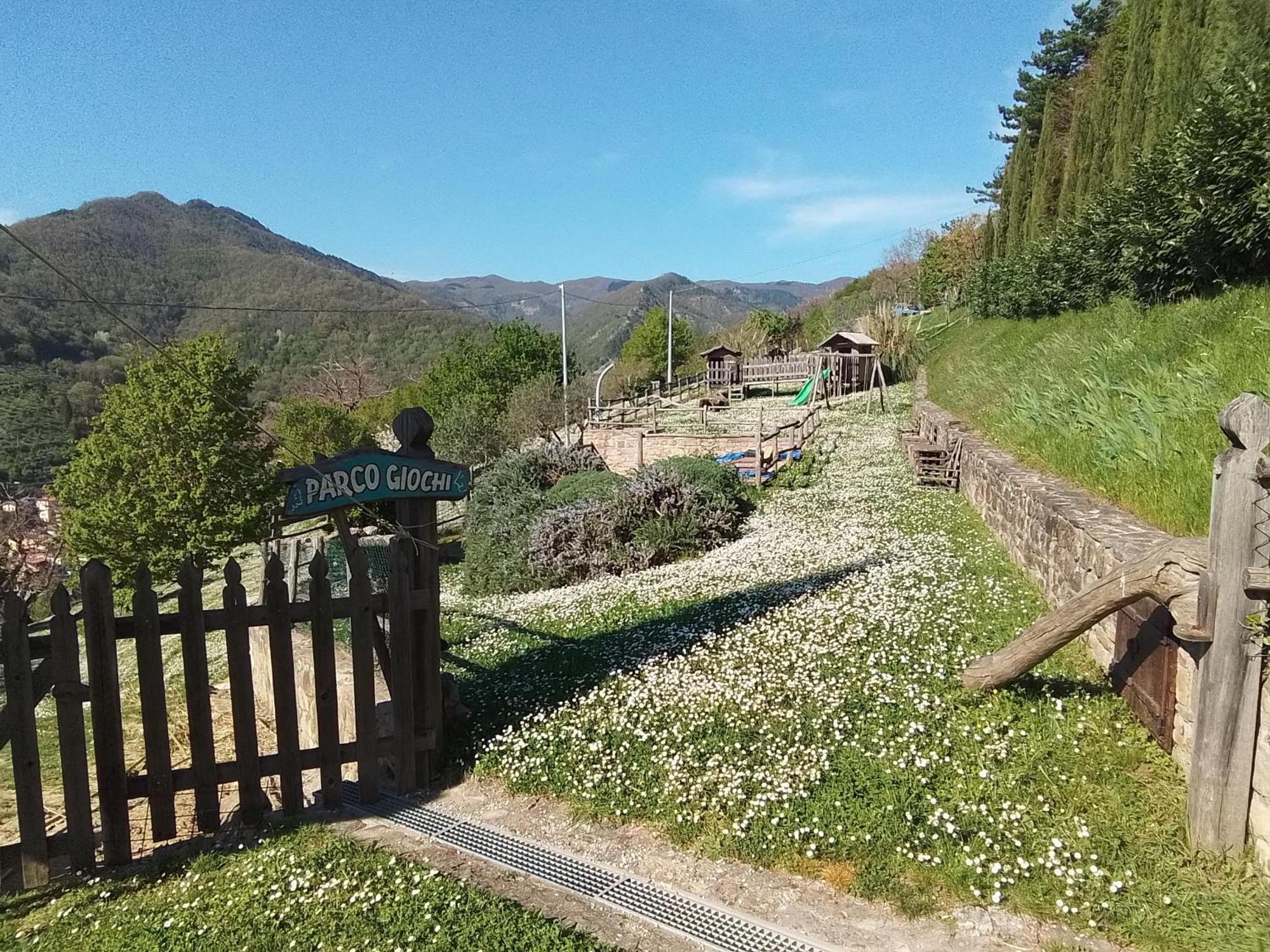 Casa Vacanze Podere Ugolini Ronta ภายนอก รูปภาพ