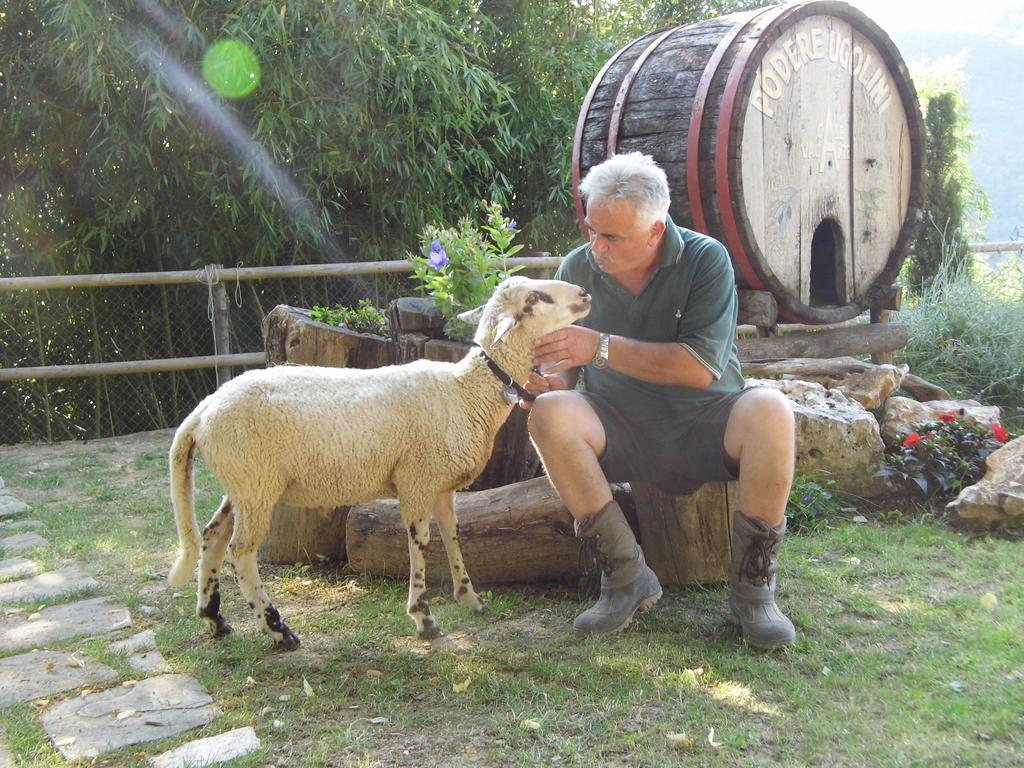 Casa Vacanze Podere Ugolini Ronta ภายนอก รูปภาพ
