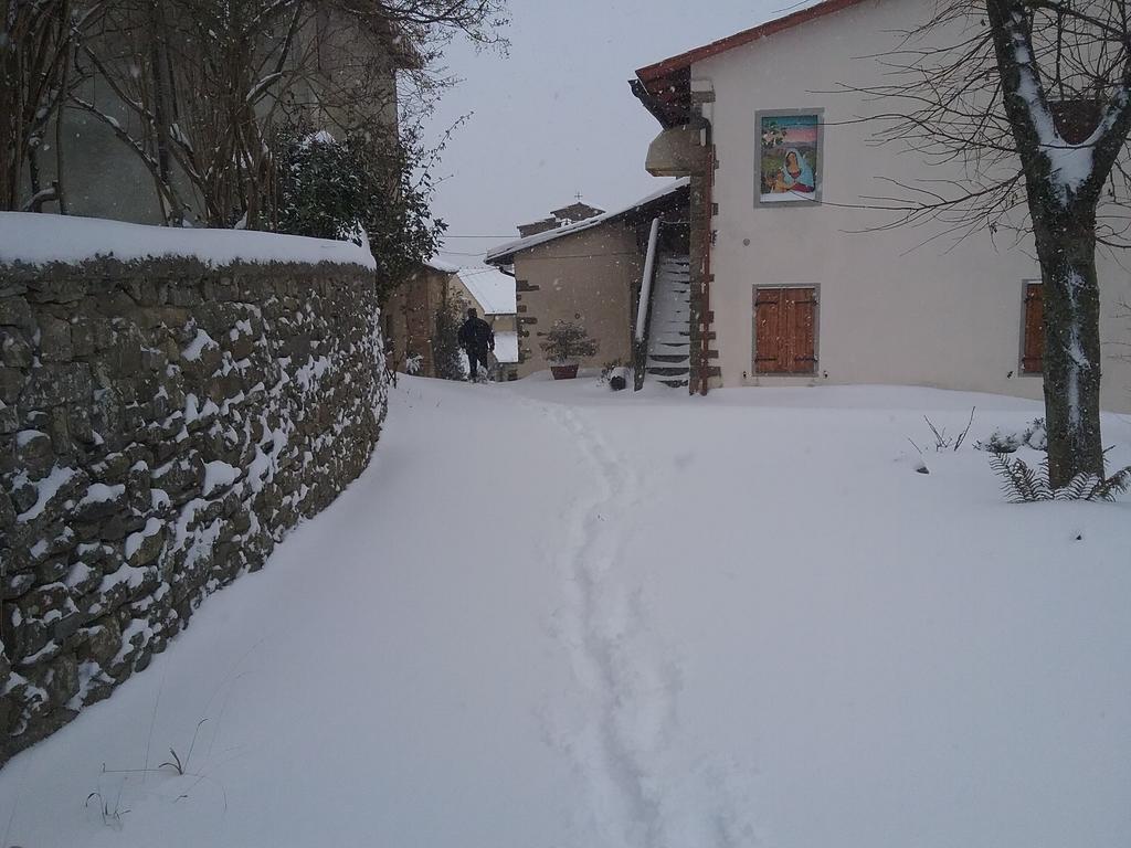Casa Vacanze Podere Ugolini Ronta ภายนอก รูปภาพ