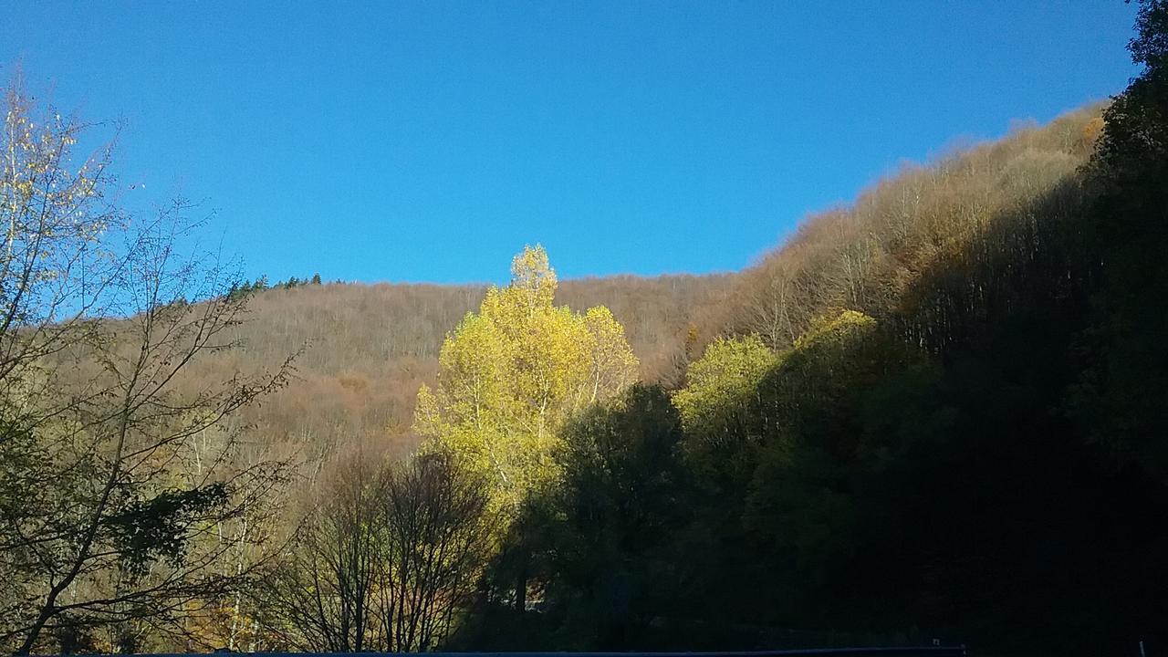 Casa Vacanze Podere Ugolini Ronta ภายนอก รูปภาพ