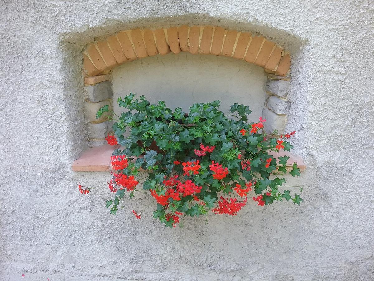 Casa Vacanze Podere Ugolini Ronta ภายนอก รูปภาพ