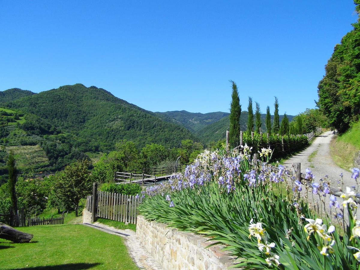 Casa Vacanze Podere Ugolini Ronta ภายนอก รูปภาพ