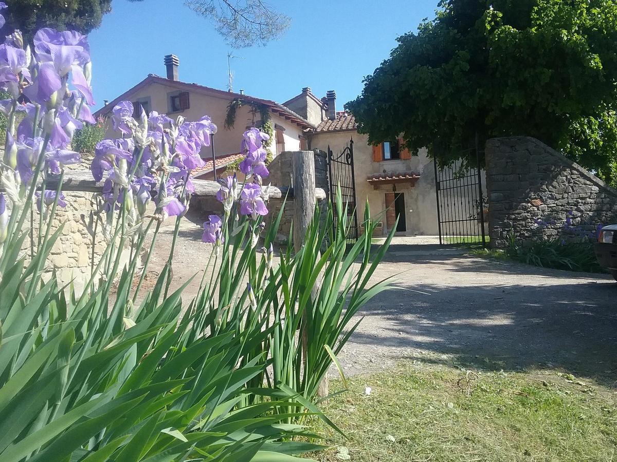 Casa Vacanze Podere Ugolini Ronta ภายนอก รูปภาพ