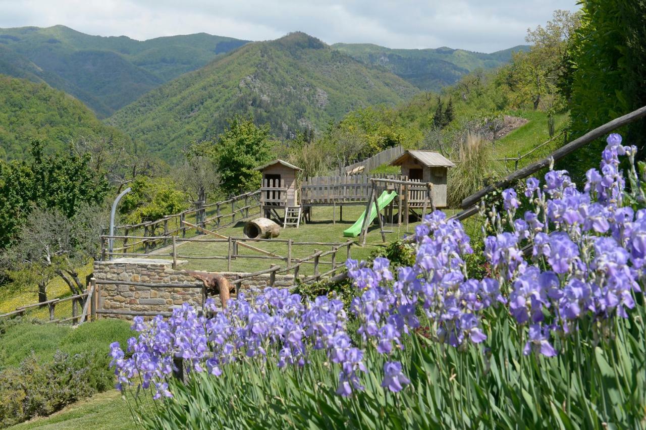 Casa Vacanze Podere Ugolini Ronta ภายนอก รูปภาพ